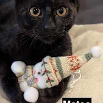 Thumbnail photo of Mateo #1