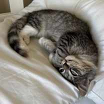 Thumbnail photo of Emma #1