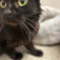 Thumbnail photo of Elena #2