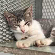 Thumbnail photo of Juancho #2