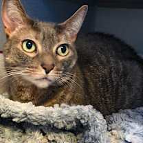 Thumbnail photo of Missy #3