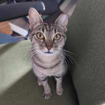 Thumbnail photo of Minnie #1