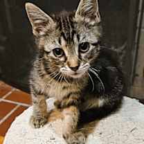 Thumbnail photo of Cathy #2