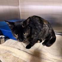 Thumbnail photo of Gabbie #2