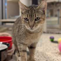 Thumbnail photo of Debby 60958 #1