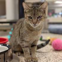 Thumbnail photo of Debby 60958 #2