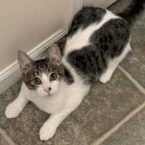 Thumbnail photo of Dolly #3