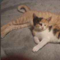 Thumbnail photo of Brandy Bean #2