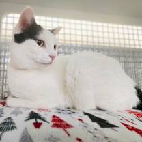 Thumbnail photo of Elsa #2