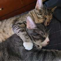 Thumbnail photo of Luke #3