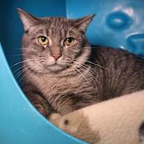 Thumbnail photo of Gucci #1