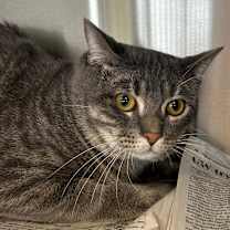 Thumbnail photo of Gucci #2