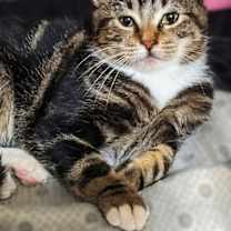 Thumbnail photo of Mikey #1