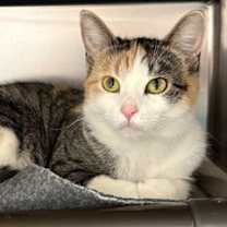 Thumbnail photo of Lane #1