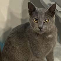 Thumbnail photo of Rena #1