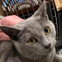 Thumbnail photo of Rena #2