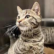 Thumbnail photo of Albie #1