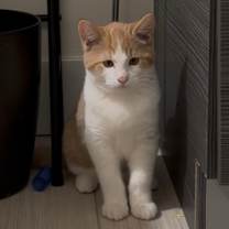 Thumbnail photo of Bug #2