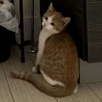 Thumbnail photo of Bug #4