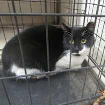 Thumbnail photo of Noelle (clinic 1) #2