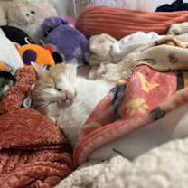 Thumbnail photo of Ruthie #1