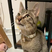 Thumbnail photo of Mikey #3