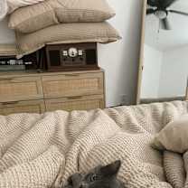 Thumbnail photo of Tamar #2