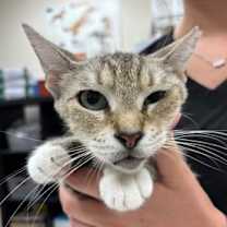 Thumbnail photo of Cammy #3