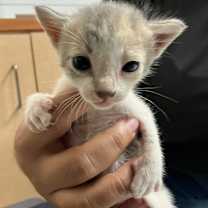 Thumbnail photo of Alaine #2