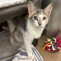 Thumbnail photo of Alaine #3