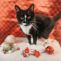 Thumbnail photo of Milky Way #1