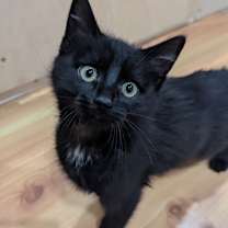 Thumbnail photo of Ester #3