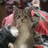 Thumbnail photo of Jess #2