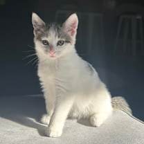 Thumbnail photo of Winnie #3