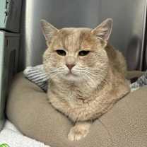 Thumbnail photo of Walter #1