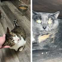 Thumbnail photo of Beamer and Twix #1