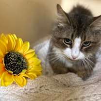 Thumbnail photo of Daria MH 21 #2