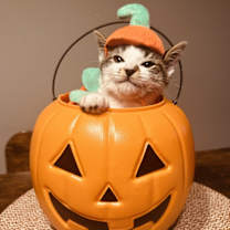 Thumbnail photo of Thea #2