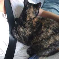 Thumbnail photo of Pepa #4