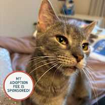 Thumbnail photo of Arby's - IN FOSTER #1