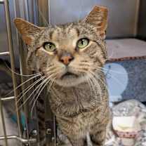 Thumbnail photo of Carter #2