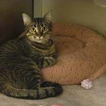 Thumbnail photo of Spam #2