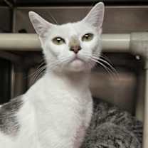 Thumbnail photo of Momma #3