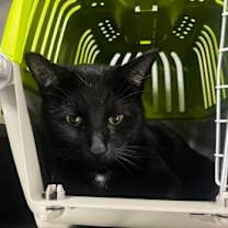 Thumbnail photo of Colton #1