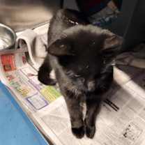 Thumbnail photo of Boyz #2