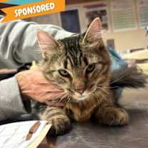 Thumbnail photo of Jose #1