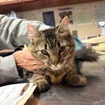 Thumbnail photo of Jose #2