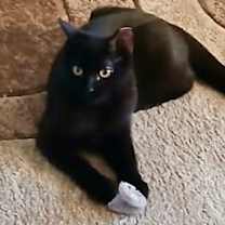 Thumbnail photo of Drayven #2