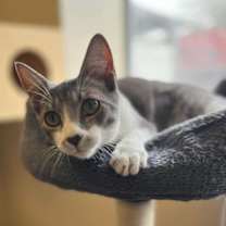 Thumbnail photo of Harlow #1