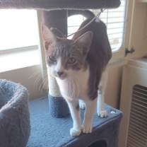 Thumbnail photo of Harlow #3